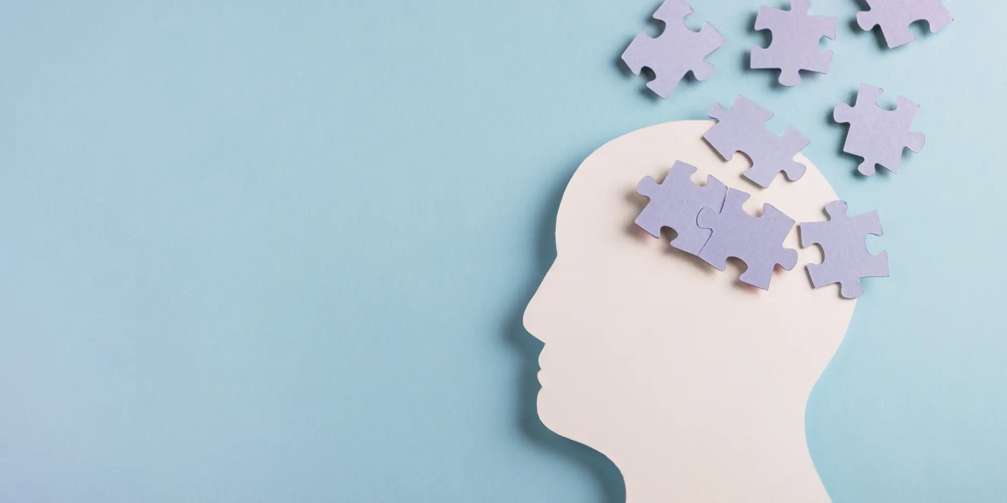 puzzle piece in the mind diagram to represent cognitive load